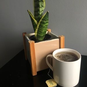 Meet your Posher, Greyson